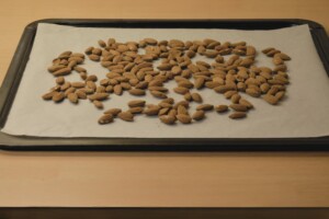 Almonds spread evenly onto the prepared baking sheet.