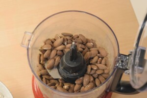 Toasted almonds in a food processor. .