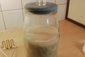 Two-thirds of the jar is filled with cabbage and is now ready to start the fermentation process.