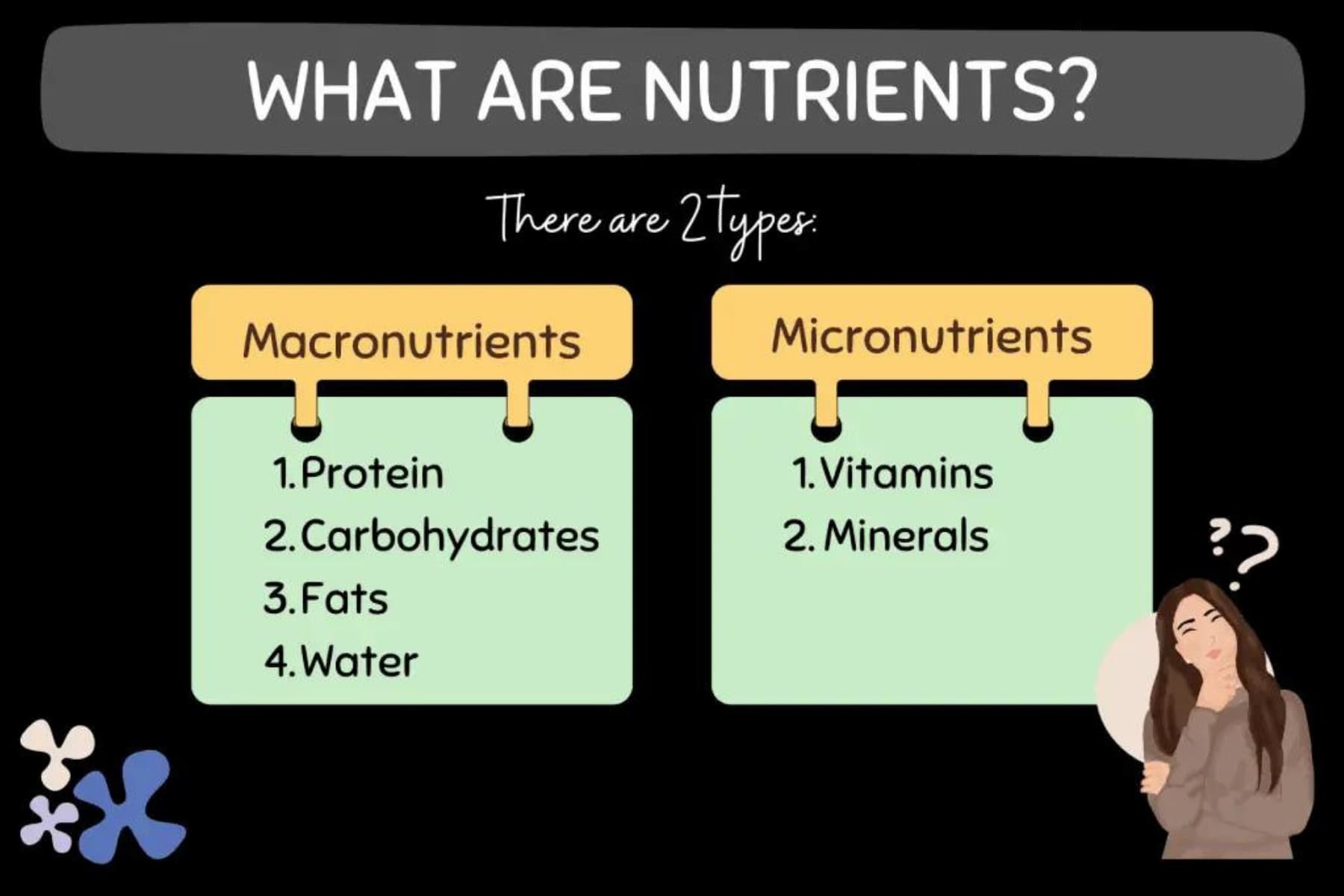 An infographic explaining the two types of nutrients - macronutrients and micronutrients.