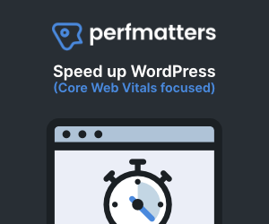 An image of Perfmatters, a lightweight tool to speed up WordPress.