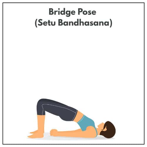Illustration of a woman lying on her back and lifting her hips in Bridge Pose (Setu Bandhasana) as part of a yoga practice.