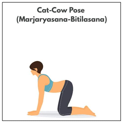 Illustration of a woman moving between Cat–Cow Pose (Marjaryasana–Bitilasana), gently stretching the spine during her yoga practice.