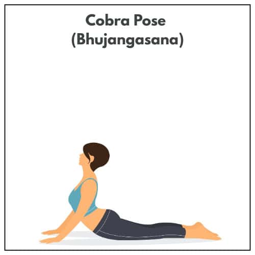 Illustration of a woman lifting her chest and pressing into her palms in Cobra Pose (Bhujangasana) as part of a yoga practice.