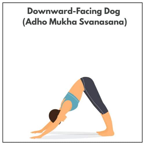 Illustration of a woman in a sports bra and leggings practicing Downward-Facing Dog (Adho Mukha Svanasana) during a yoga session.