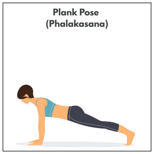 Illustration of a woman in a sports bra and leggings holding Plank Pose (Phalakasana), keeping her body straight and strong in a yoga practice.