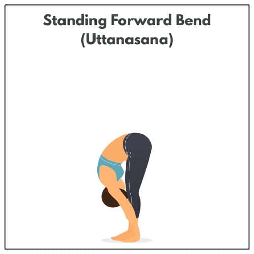 Illustration of a woman bending forward at the hips with hands reaching toward the ground in Standing Forward Bend (Uttanasana) as part of a yoga practice.