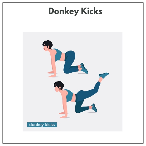 Illustration of a woman demonstrating donkey kicks, first with knees on the ground, then lifting one leg straight back.