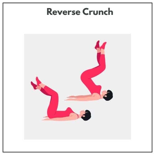 Illustration of a person performing a reverse crunch, lifting her knees toward her chest while lying on her back.