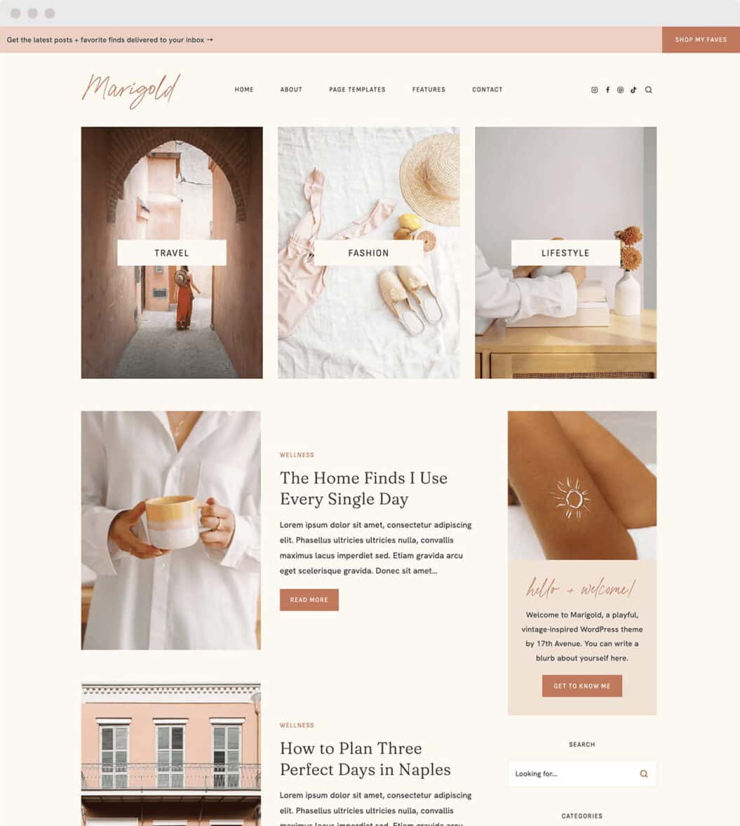 Image of Marigold Starter theme by 17th Avenue Designs.